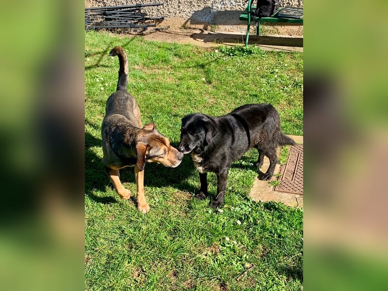 Jerome ( * 01.2019 ) sucht seine Menschen