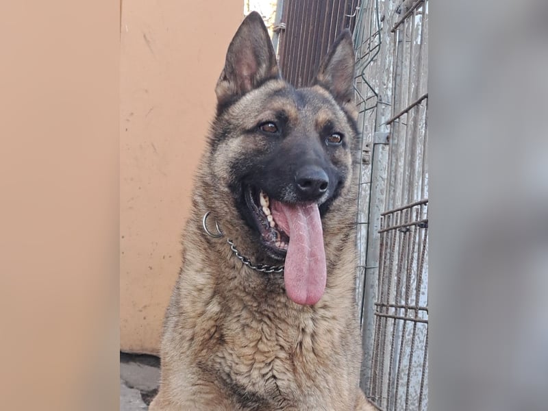 Odin sucht die Nadel im Heuhaufen