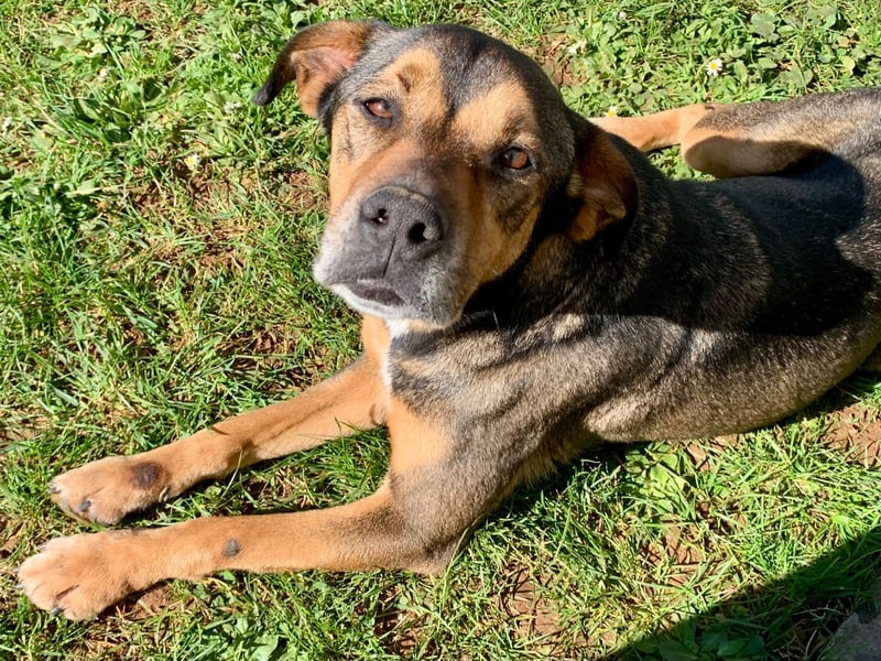 Jerome ( * 01.2019 ) sucht seine Menschen