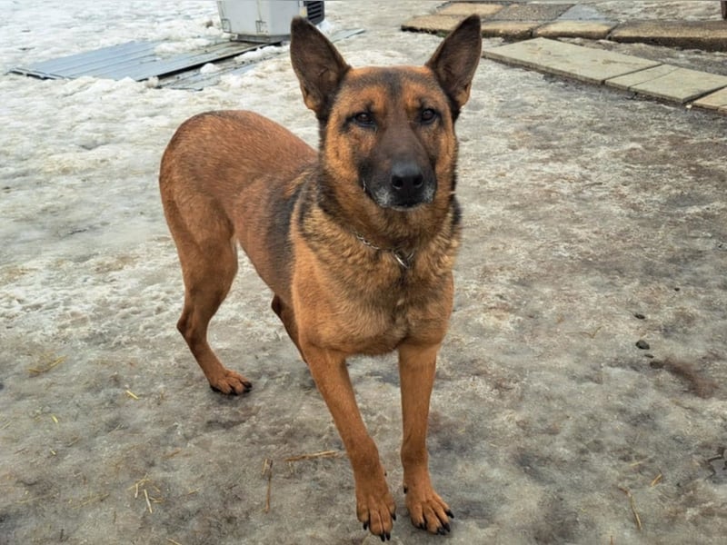 Yara ( * 05/ 2018 ) sucht ihre Familie