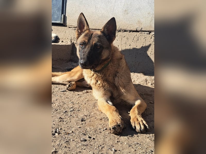 Odin sucht die Nadel im Heuhaufen