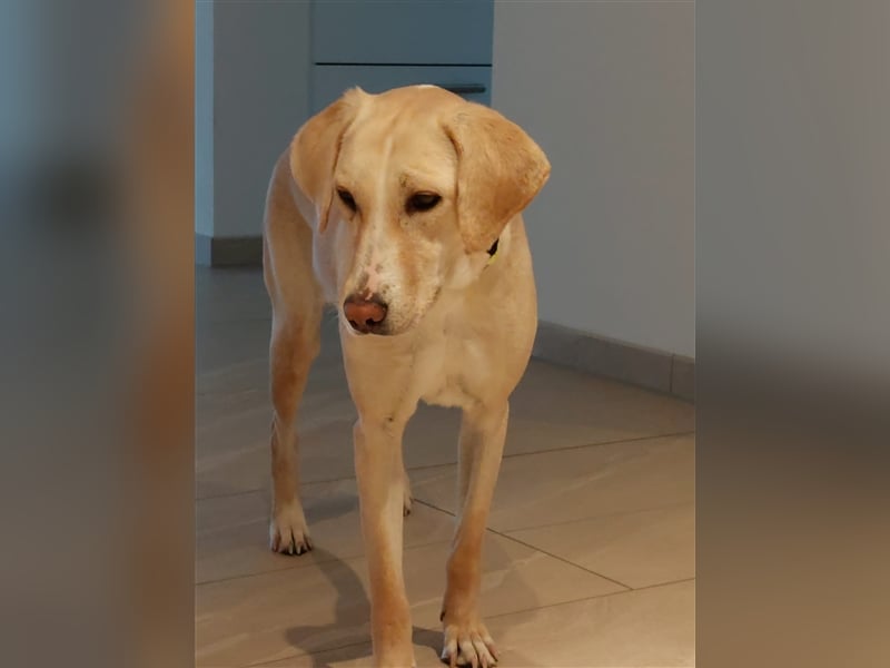 Charlene sucht ein Zuhause