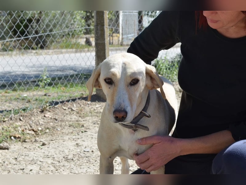 Charlene sucht ein Zuhause