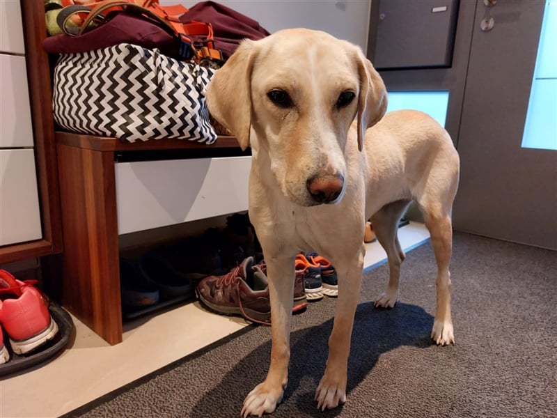 Charlene sucht ein Zuhause