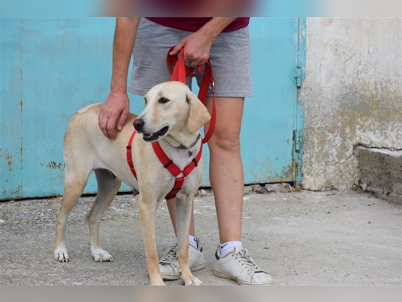 Charlene sucht ein Zuhause