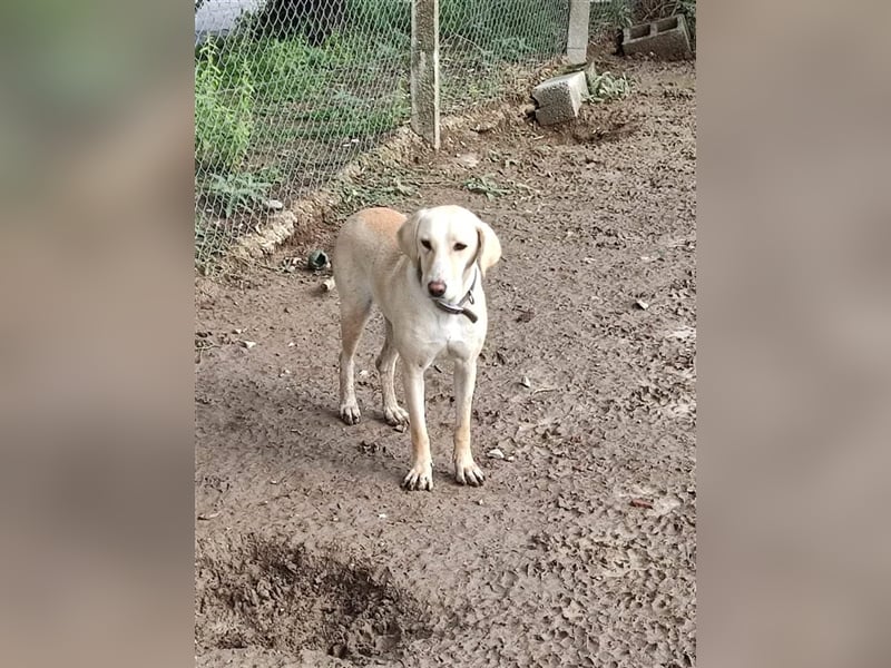 Charlene sucht ein Zuhause