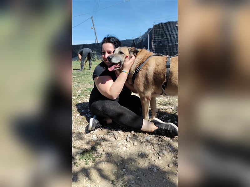 Sam sucht ein liebevolles Zuhause