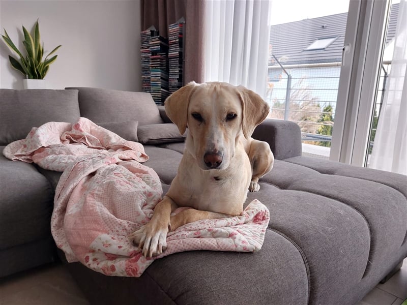 Charlene sucht ein Zuhause