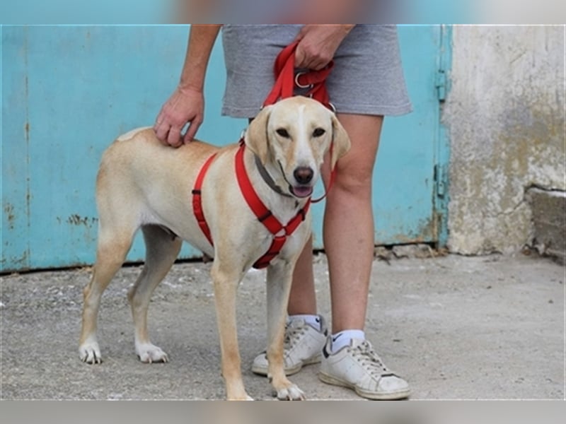 Charlene sucht ein Zuhause