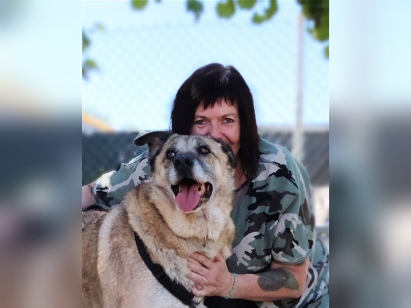 Sam sucht ein liebevolles Zuhause