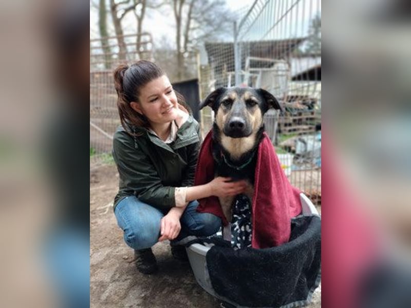 Marton (PLZ 497**) sucht seine(n) Menschen