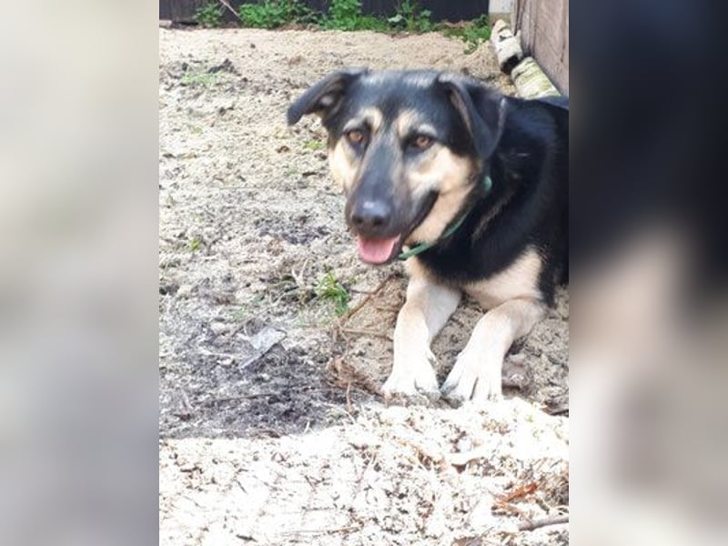 Marton (PLZ 497**) sucht seine(n) Menschen