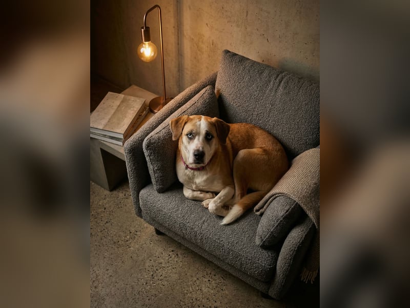 Jessie sucht ein aktives Leben