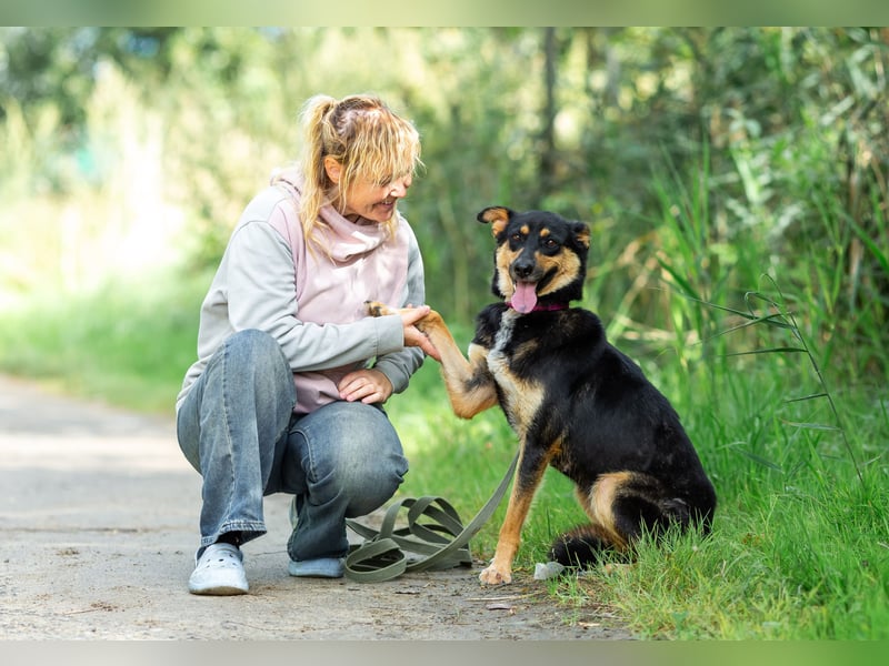 Gesellige Lexi sucht ihren platz für immer