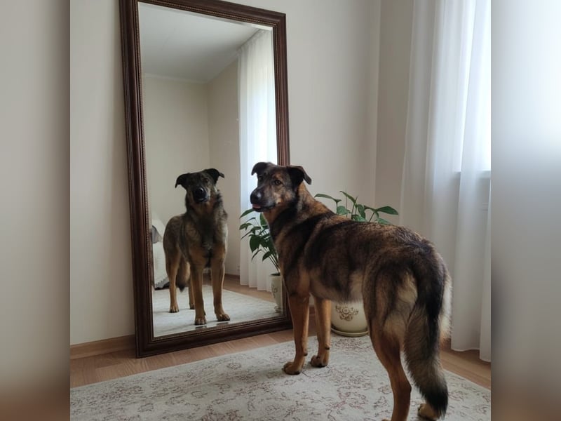 Ein Herz für Vasilisa geben Sie ihr eine Chance auf ein glückliches Leben!