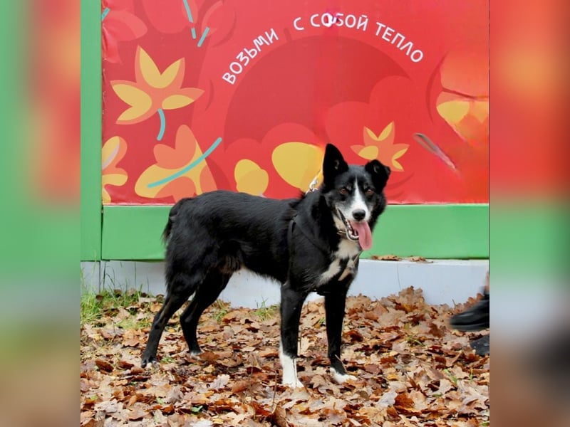 Mike sucht Traumzuhause