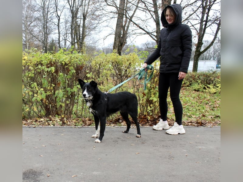 Mike sucht Traumzuhause