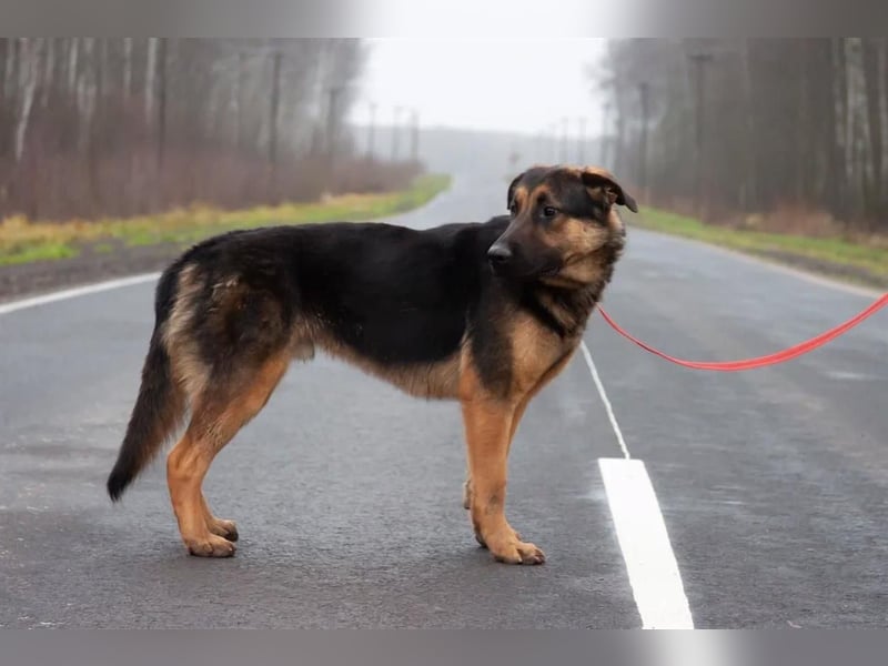 Josar sucht liebvolle Menschen