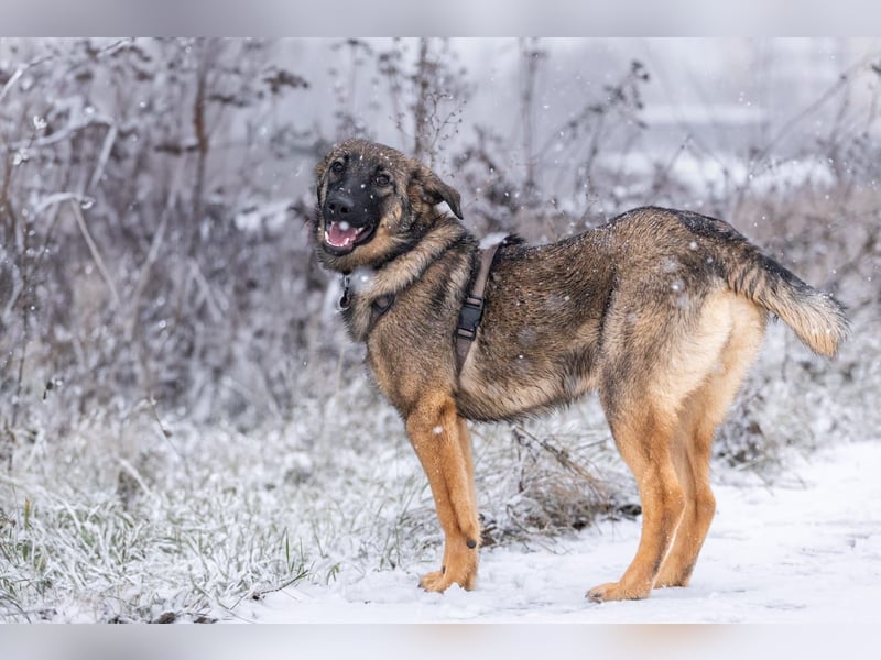 Ein Herz für Vasilisa geben Sie ihr eine Chance auf ein glückliches Leben!