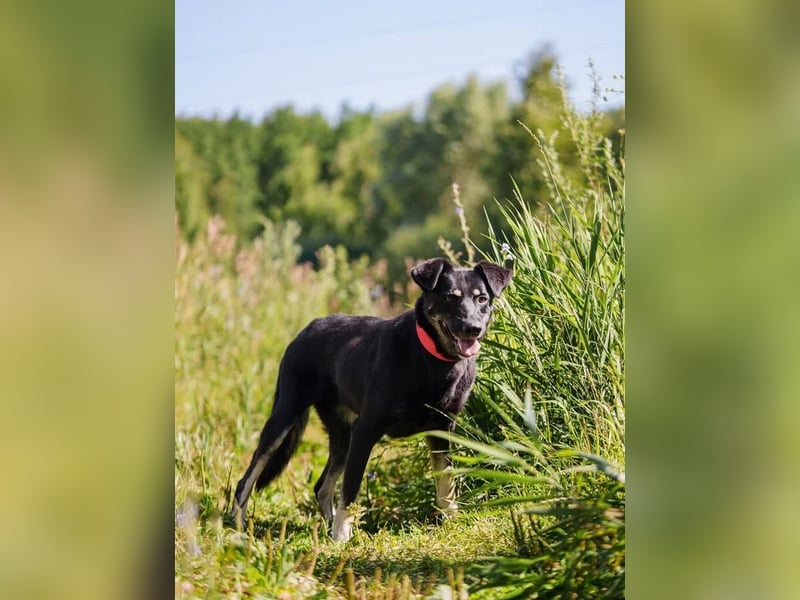 Amy sucht jetzt ihre neue Familie