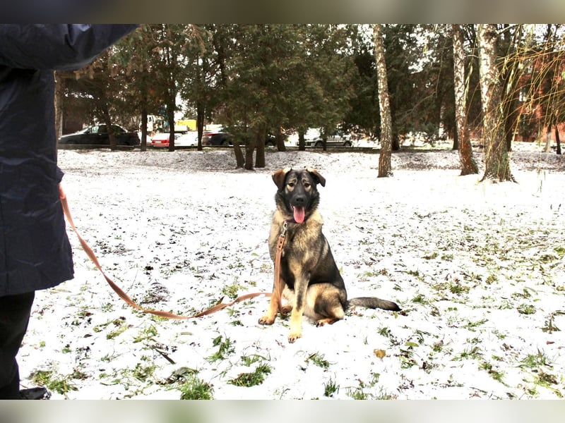 Selbstbewusste Tosya sucht aktive Menschen