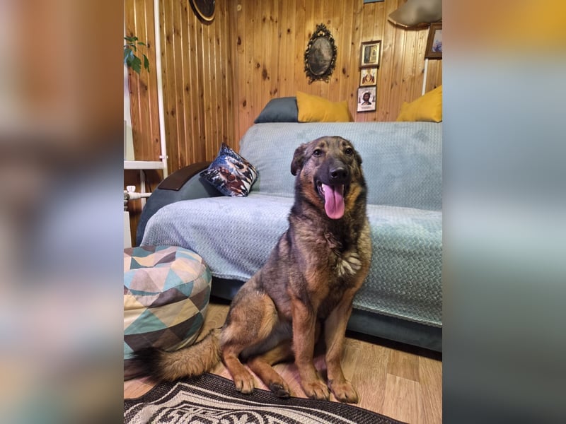 Ein Herz für Vasilisa geben Sie ihr eine Chance auf ein glückliches Leben!