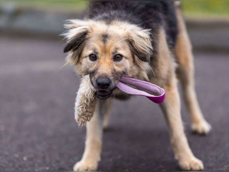 Aktiv und fröhlich durchs Leben mit Lora