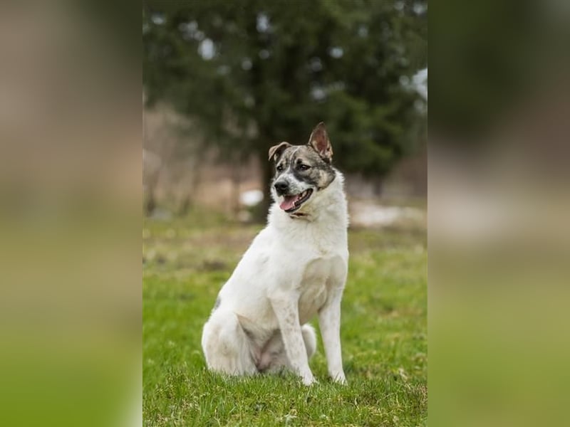 Julia will liebe und Geborgenheit