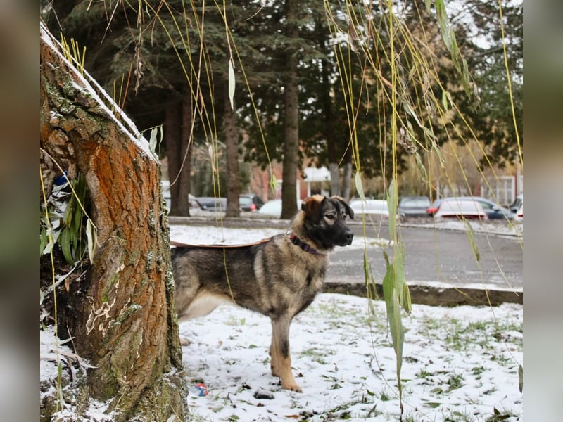 Selbstbewusste Tosya sucht aktive Menschen