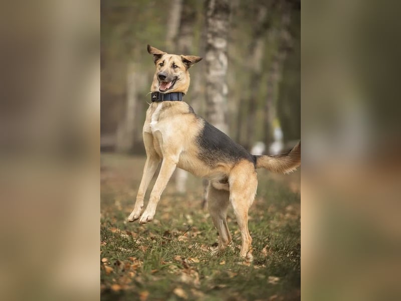 Totoshka sucht liebevolle Menschen