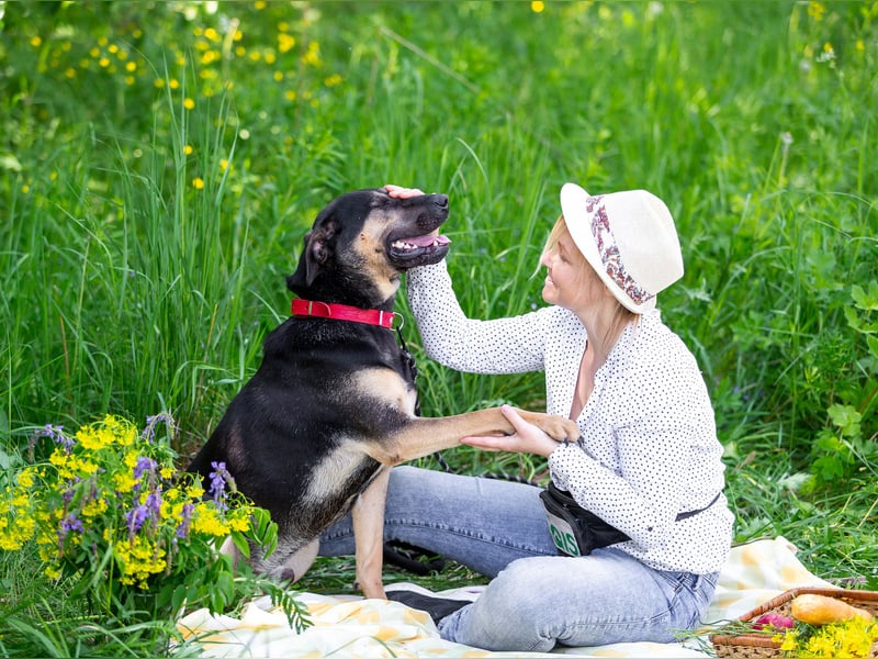 Sean sucht seine begleiter fürs leben