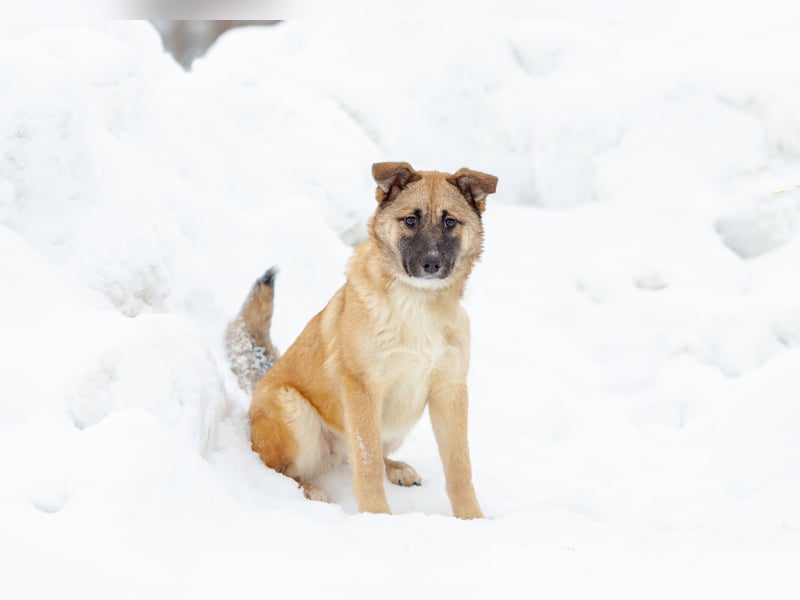 Zuckersüße Rada sucht liebe Familie