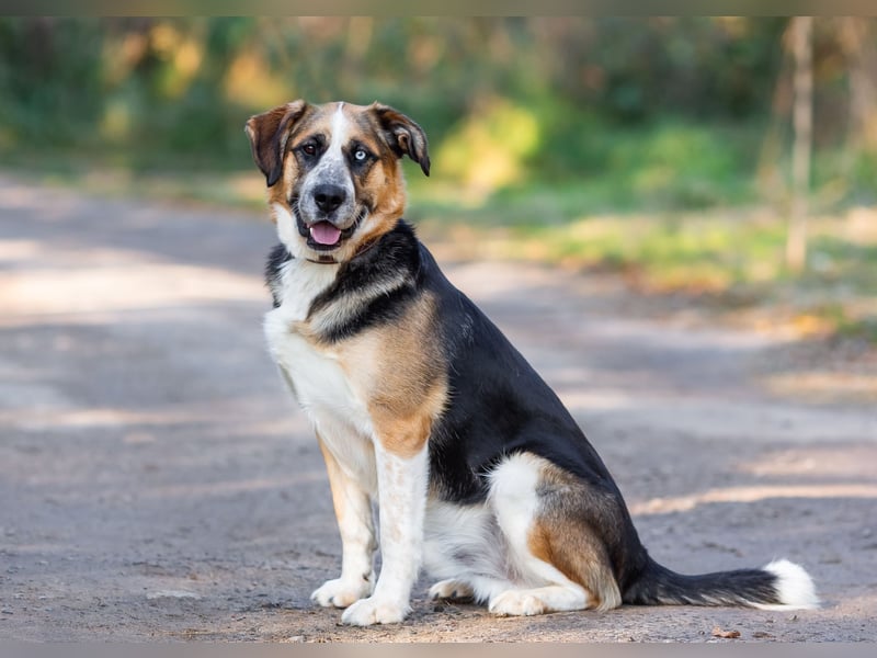 Tyson will nochmal seine ganze Liebe zeigen