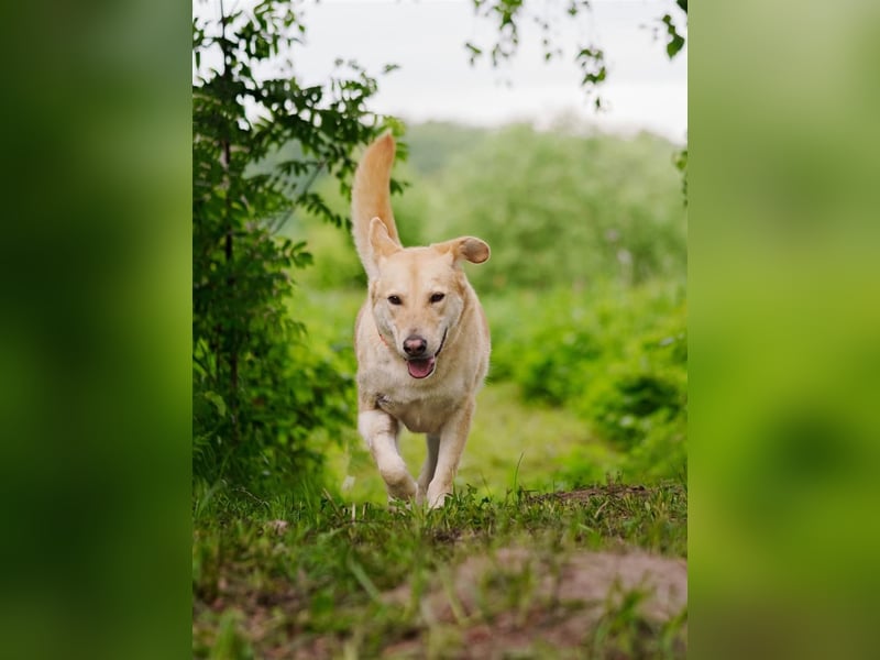 Ausgewogene Mona sucht Familie