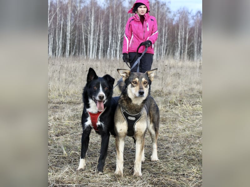 Mike sucht Traumzuhause