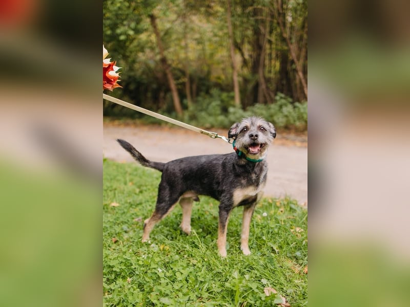 Shalim sucht nun den Platz für immer
