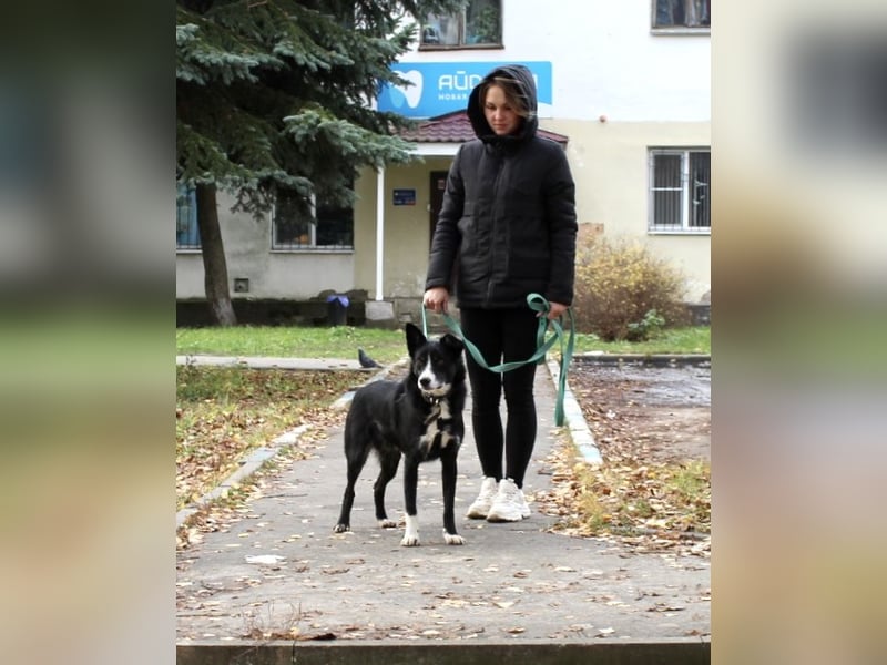 Mike sucht Traumzuhause