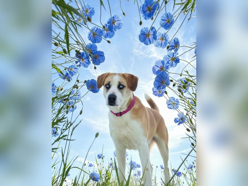 Jessie sucht ein aktives Leben