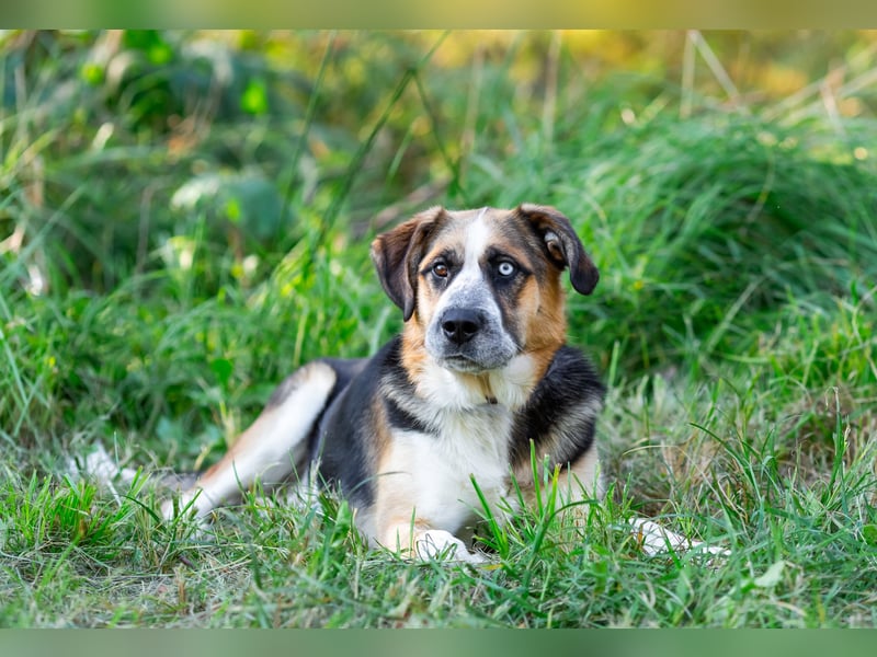 Tyson will nochmal seine ganze Liebe zeigen