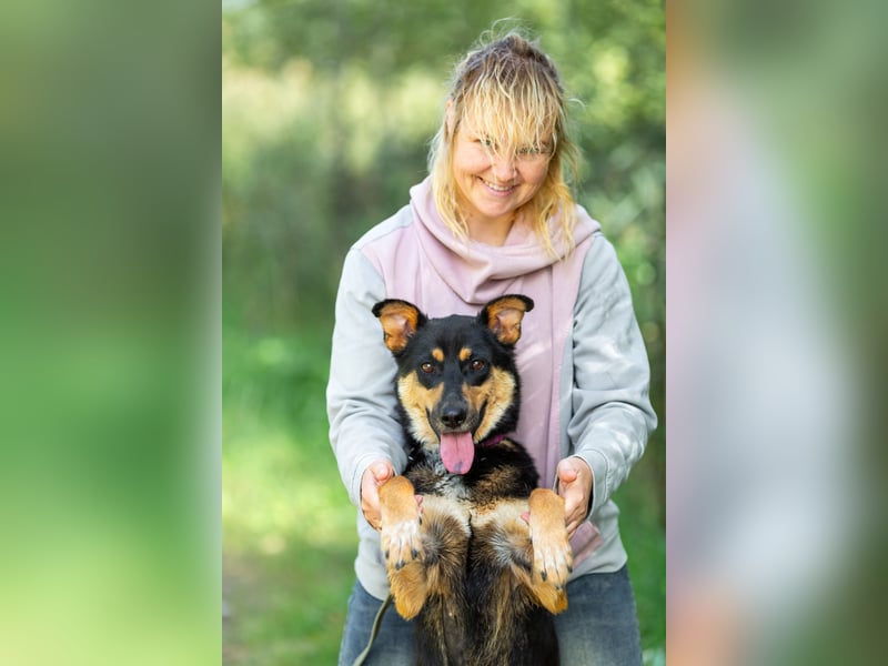 Gesellige Lexi sucht ihren platz für immer