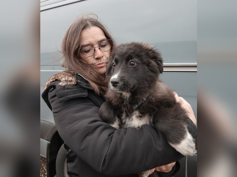 Mable sucht ihr Zuhause