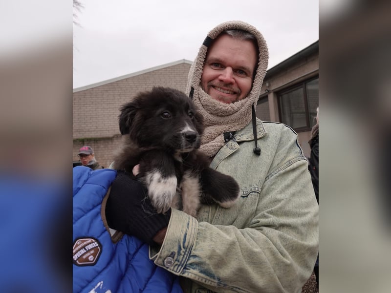 Mable sucht ihr Zuhause