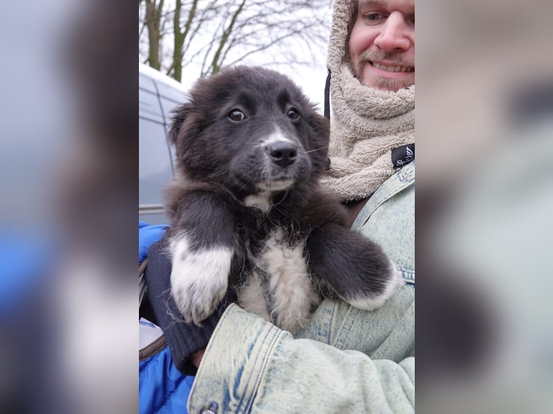 Mable sucht ihr Zuhause