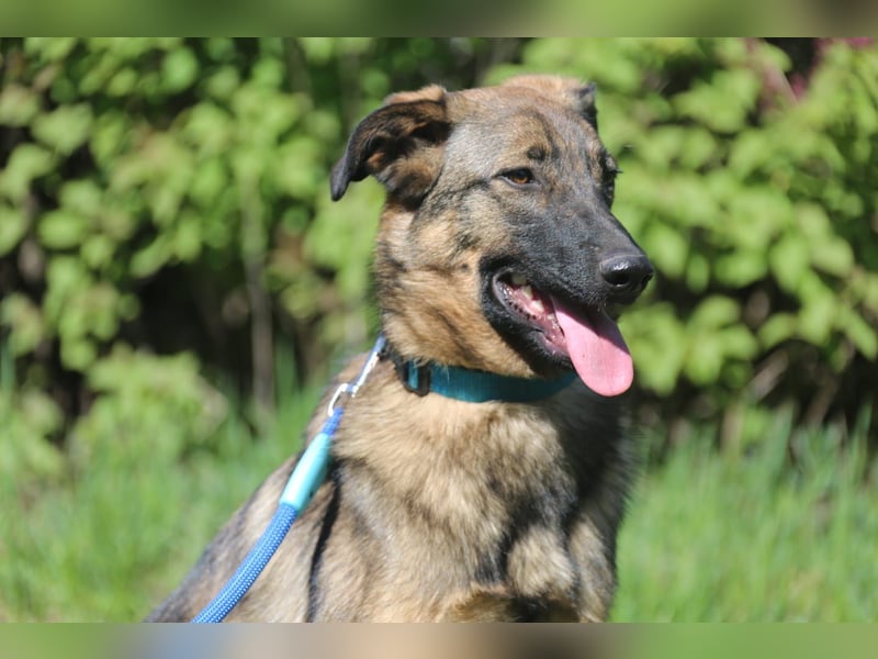 Vasilisa (1 jahre alt) sucht ein Zuhause