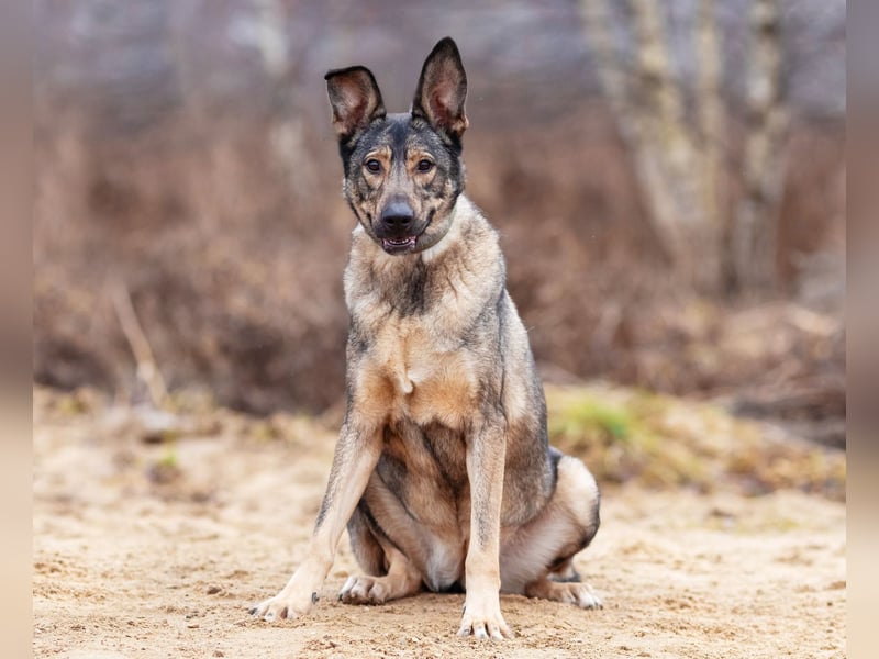 Laura wünscht sich eine aktive Familie