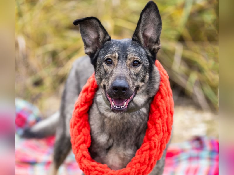 Laura wünscht sich eine aktive Familie