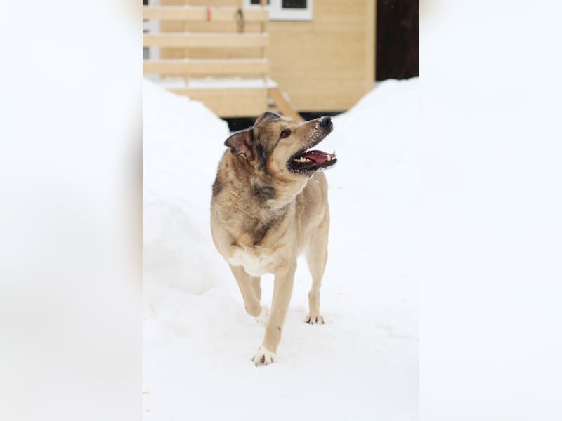 Lyon möchte endlich Liebe und wärme spüren