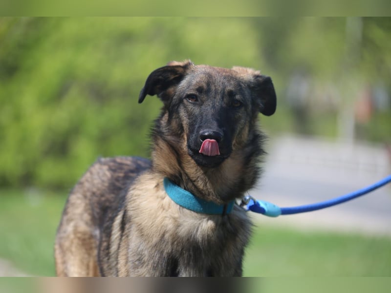 Vasilisa (1 jahre alt) sucht ein Zuhause