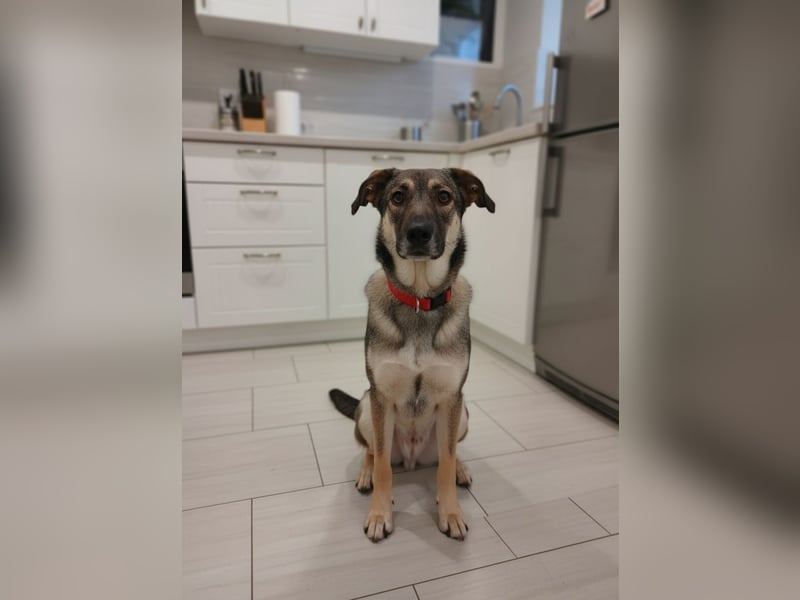 Verzaubert Lori dich mit ihren augen ?!