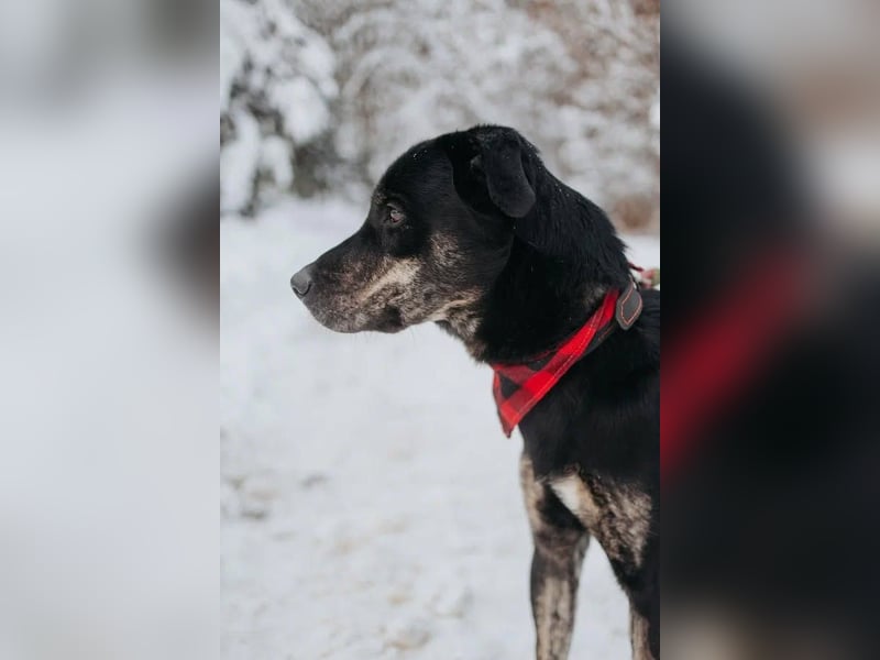 Odin sucht End platz!!!